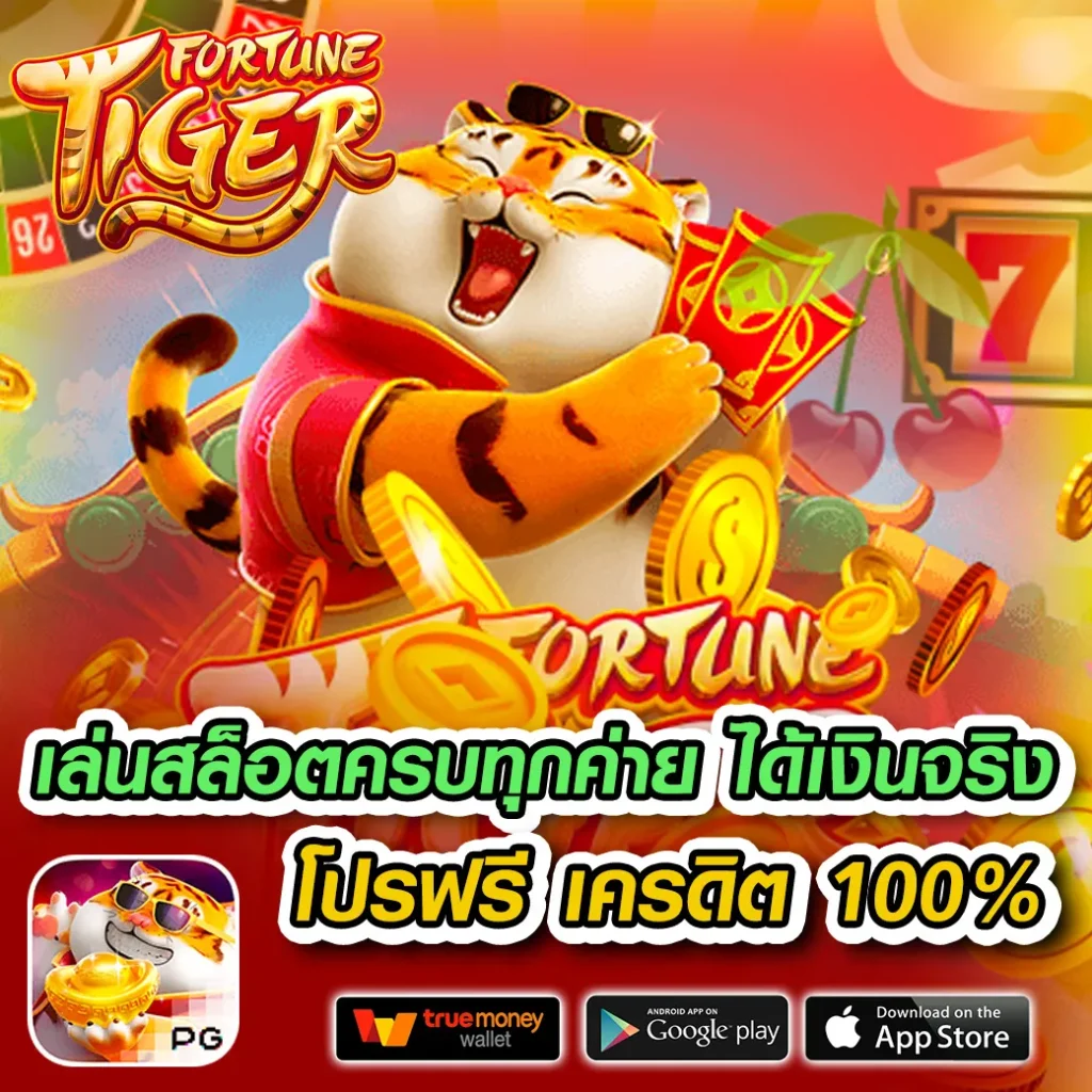 เว็บใหม่ mvp-131